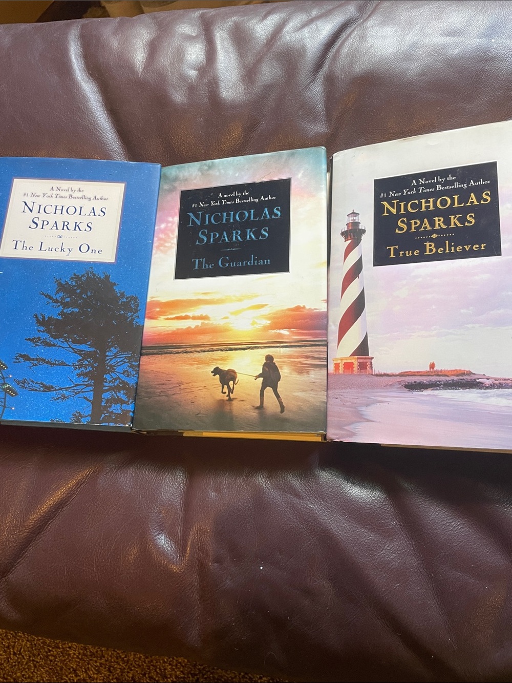 Nicholas Sparks Hardcover Coffee Table Book - Sunset Beach Cover (Multicolor)